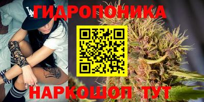 a pvp Бузулук