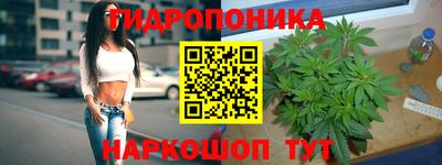 a pvp Бузулук