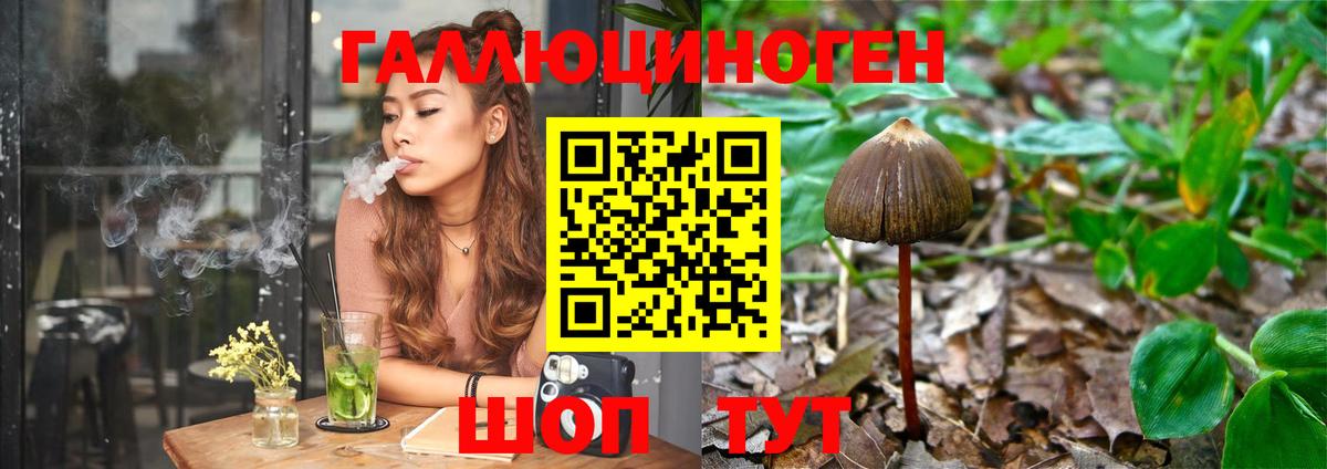 Псилоцибиновые грибы прущие грибы Коркино