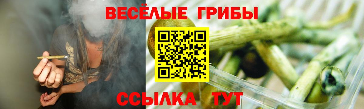 Псилоцибиновые грибы Magic Shrooms  Вход с VPN  Коркино 
